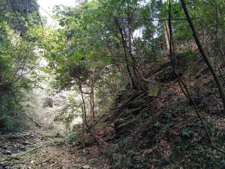 救援医学院学生