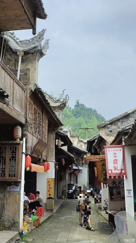 破碎的动物图形3