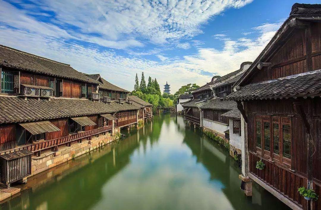 春雨直播app